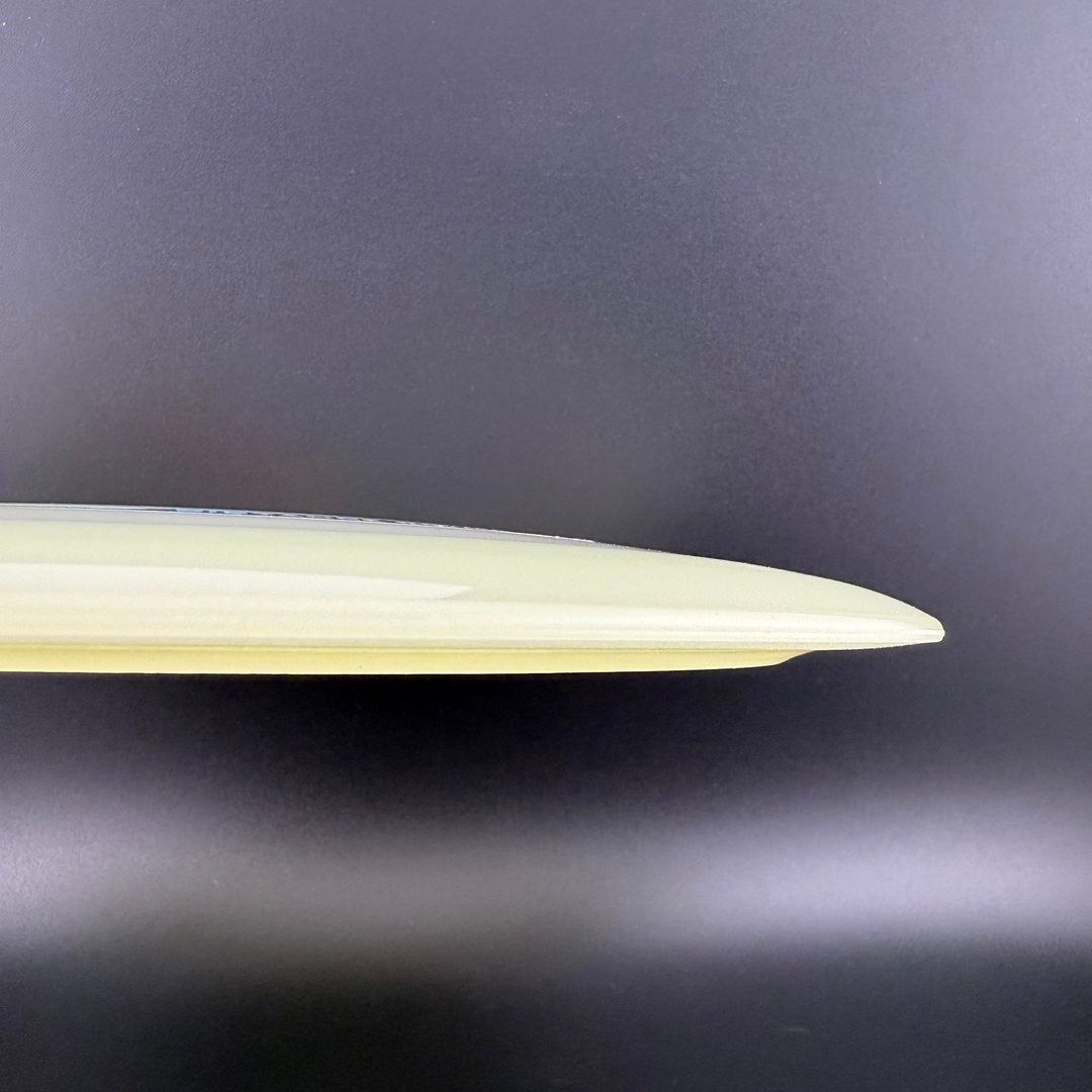Proto Glow Champion Tern
