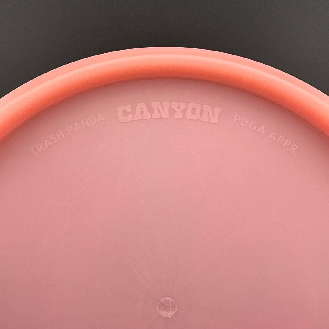 Canyon - First Run