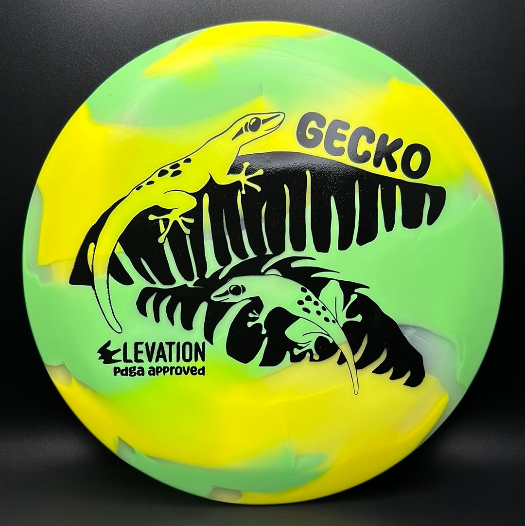 glO-G (Glow) Gecko