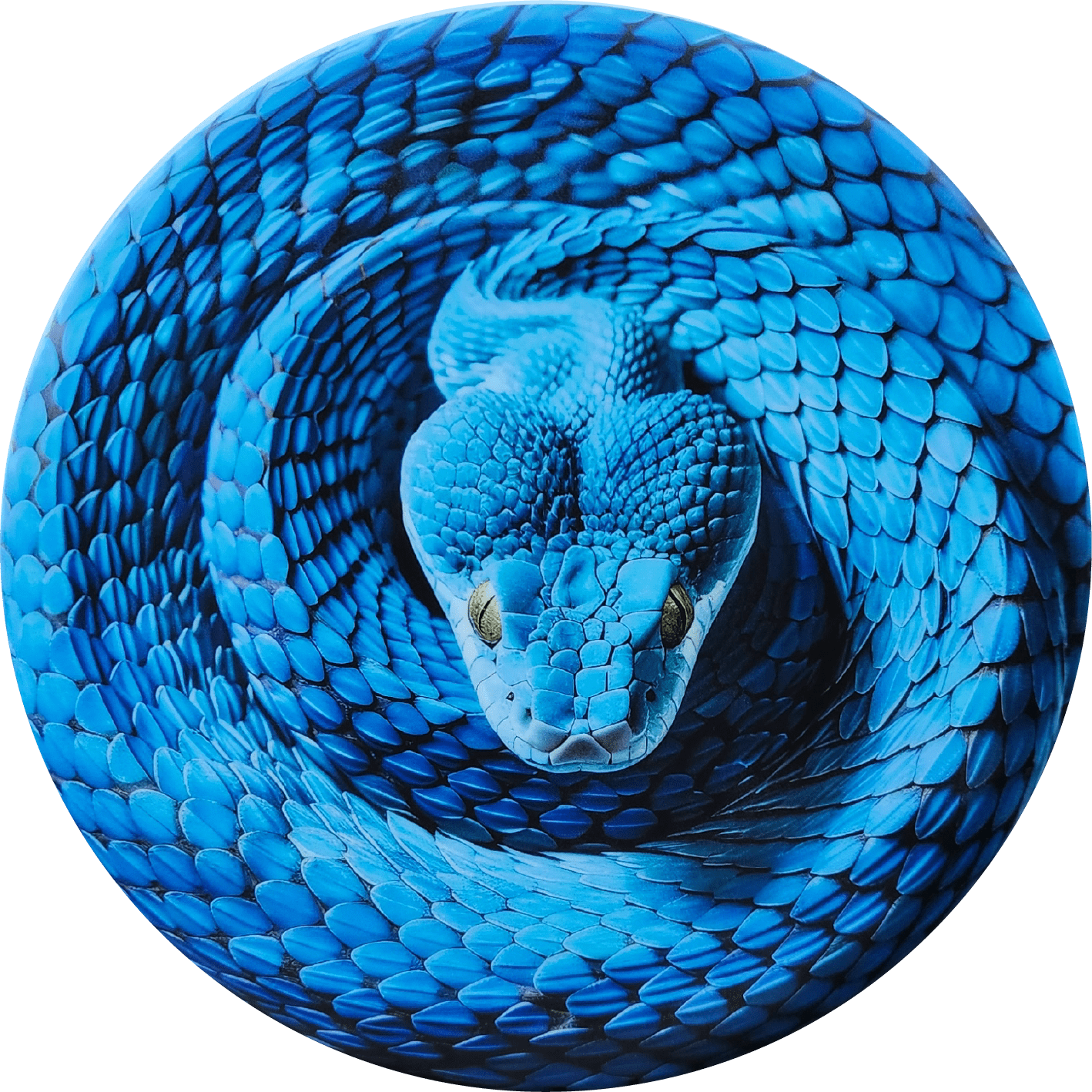 Custom Snake Illusion Disc