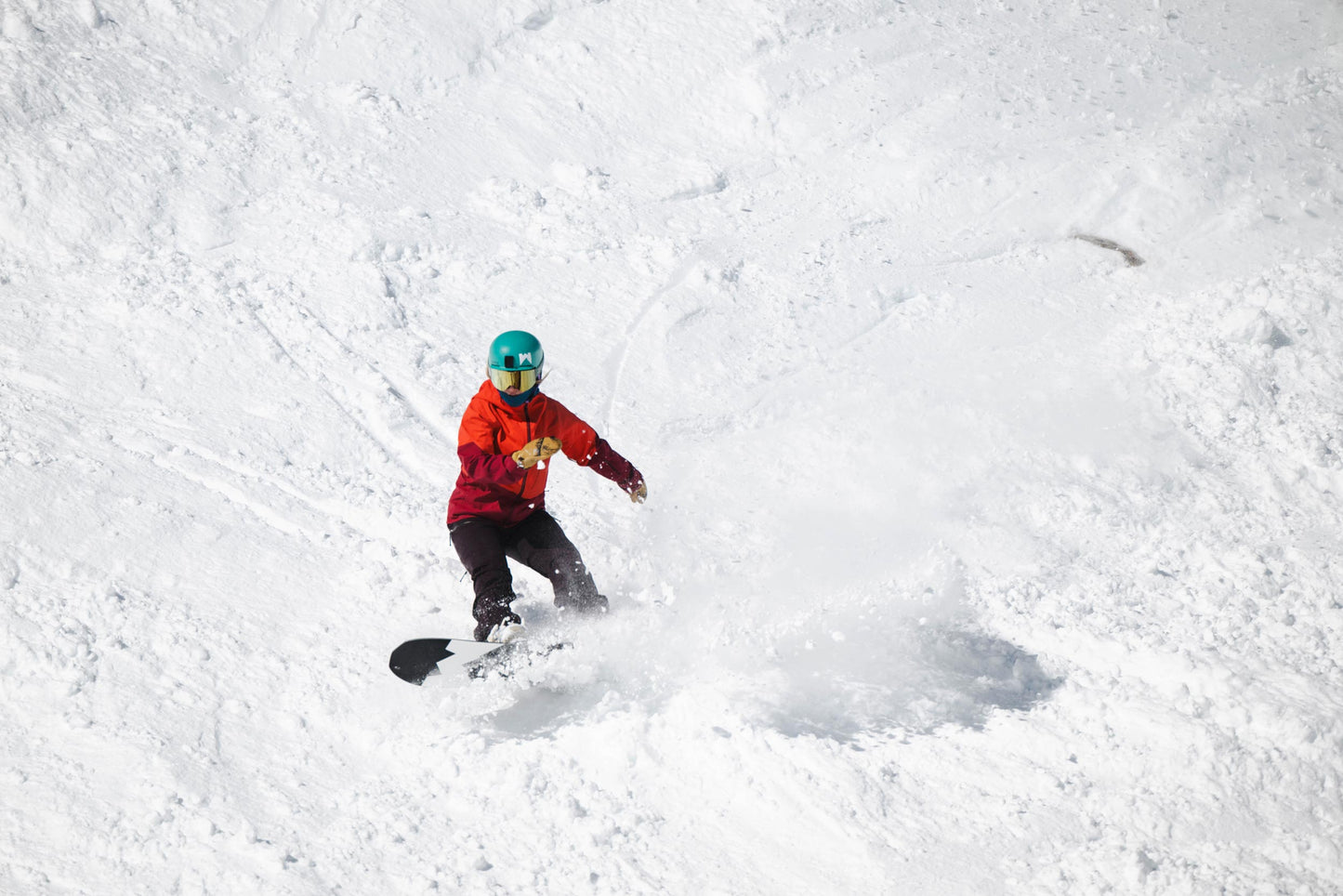 Gnarnia Snowboard