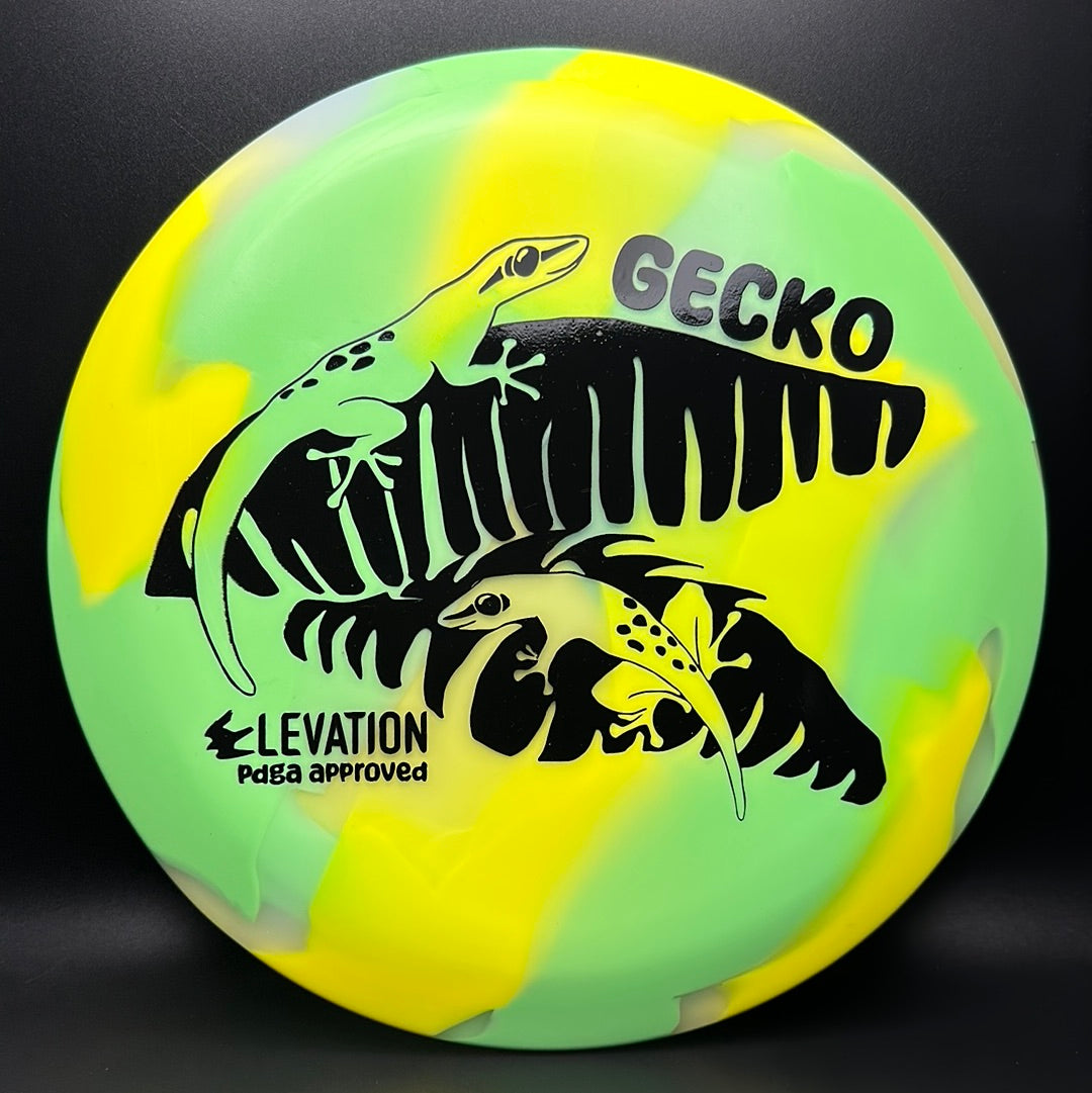 glO-G (Glow) Gecko
