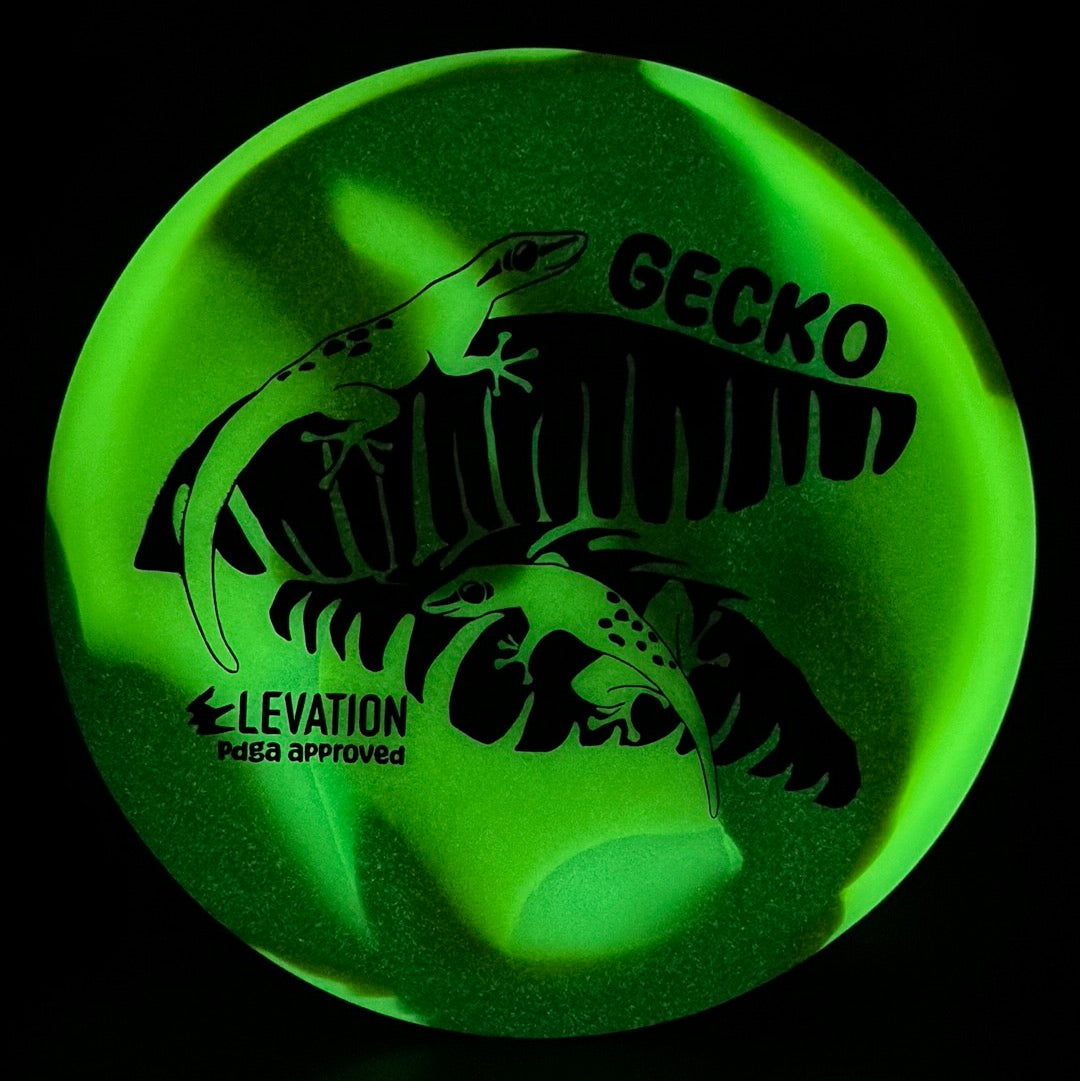 glO-G (Glow) Gecko
