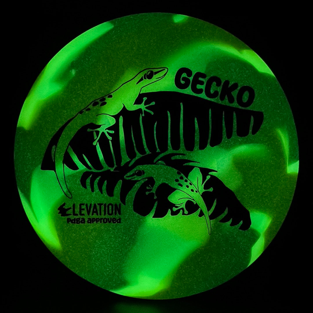 glO-G (Glow) Gecko