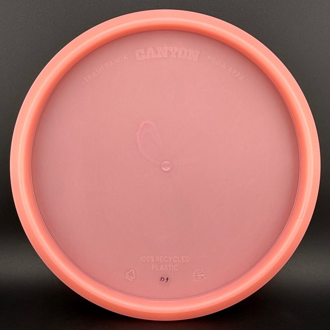 Canyon - First Run