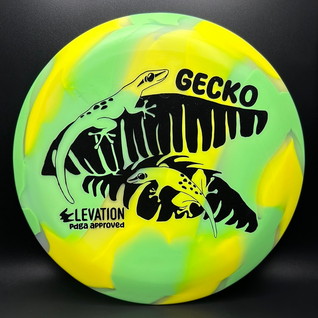 glO-G (Glow) Gecko