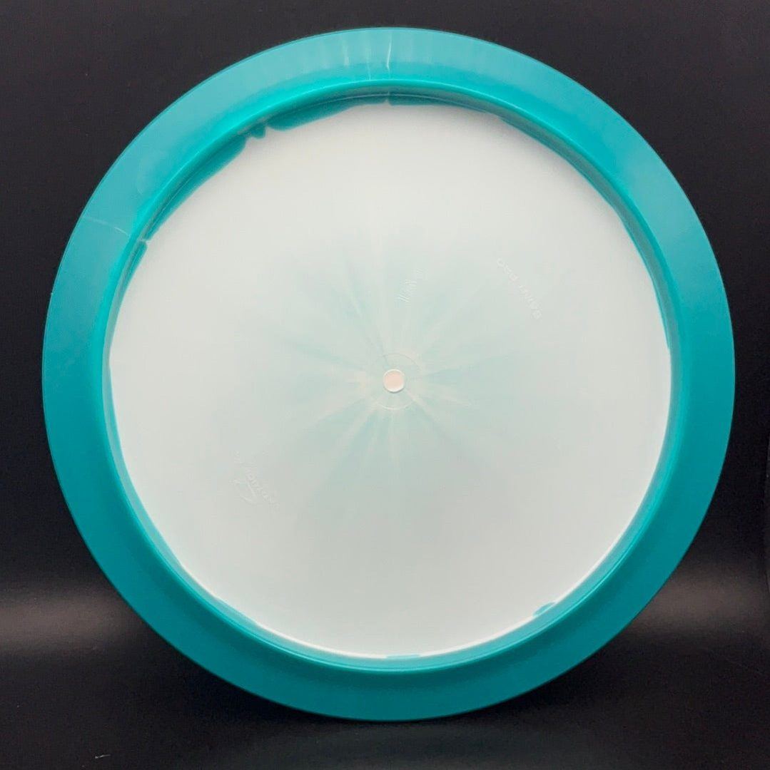 Gold Orbit Saint Pro - Kristin Tattar World Championship
