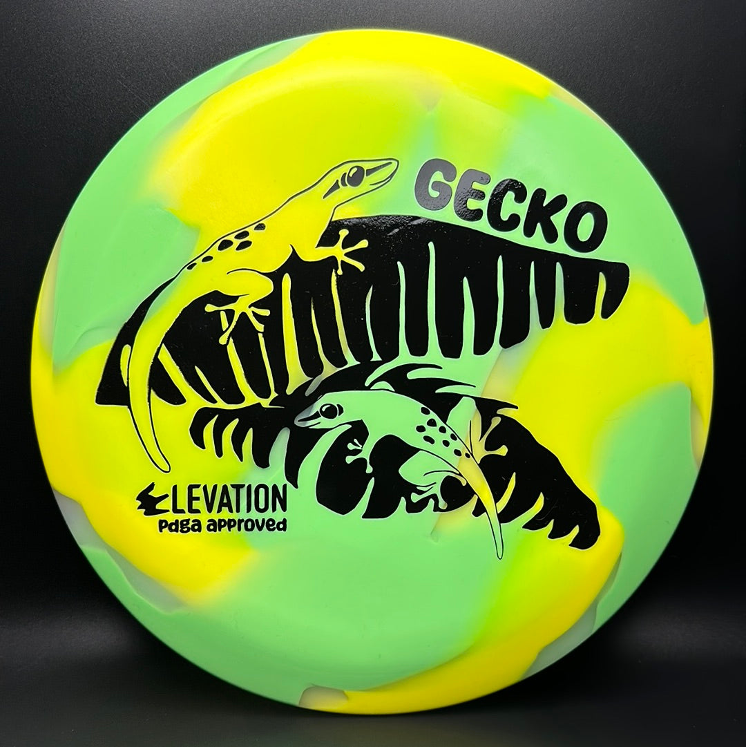 glO-G (Glow) Gecko