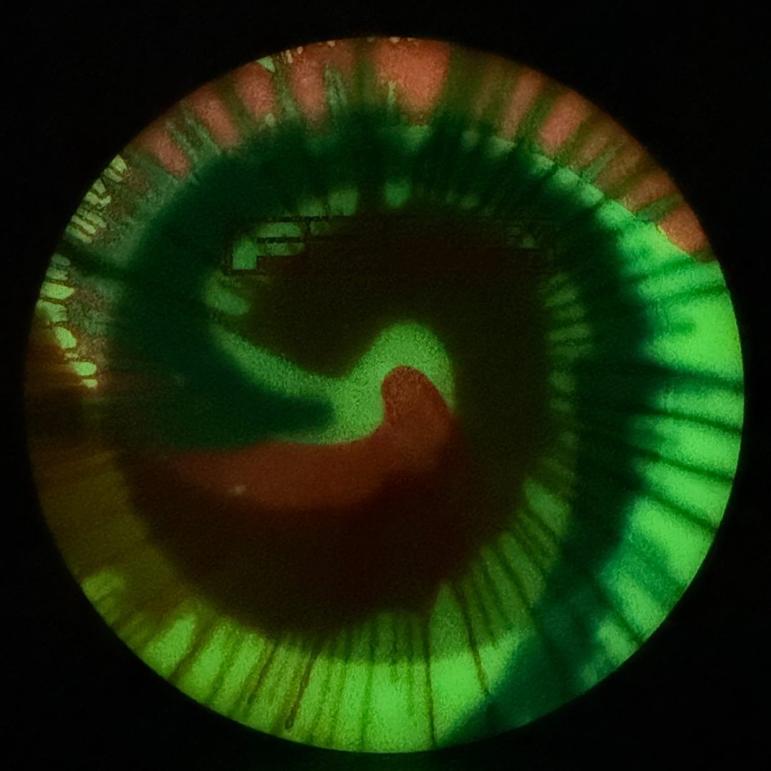 I-Dye Glow Champion Dominator - F2