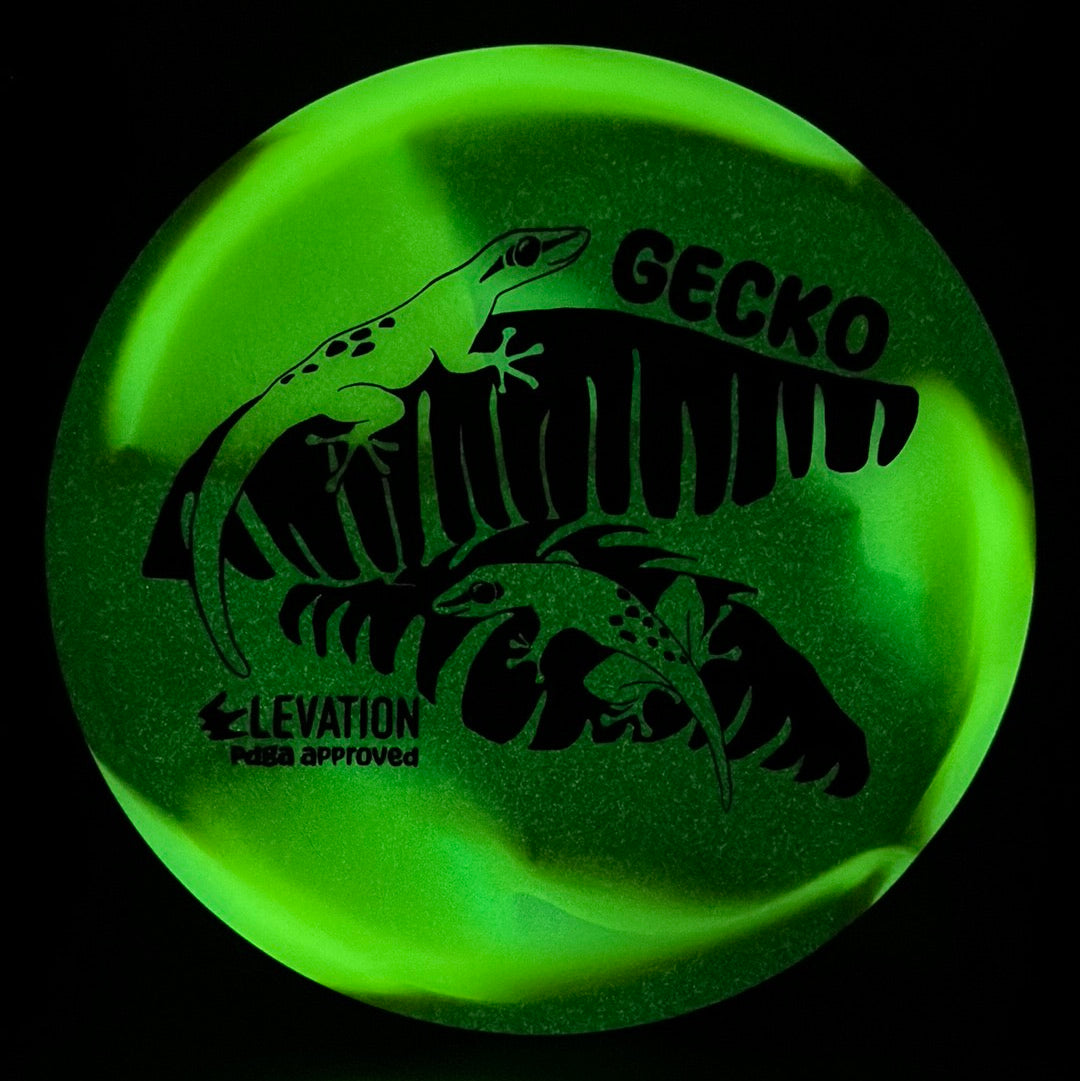 glO-G (Glow) Gecko
