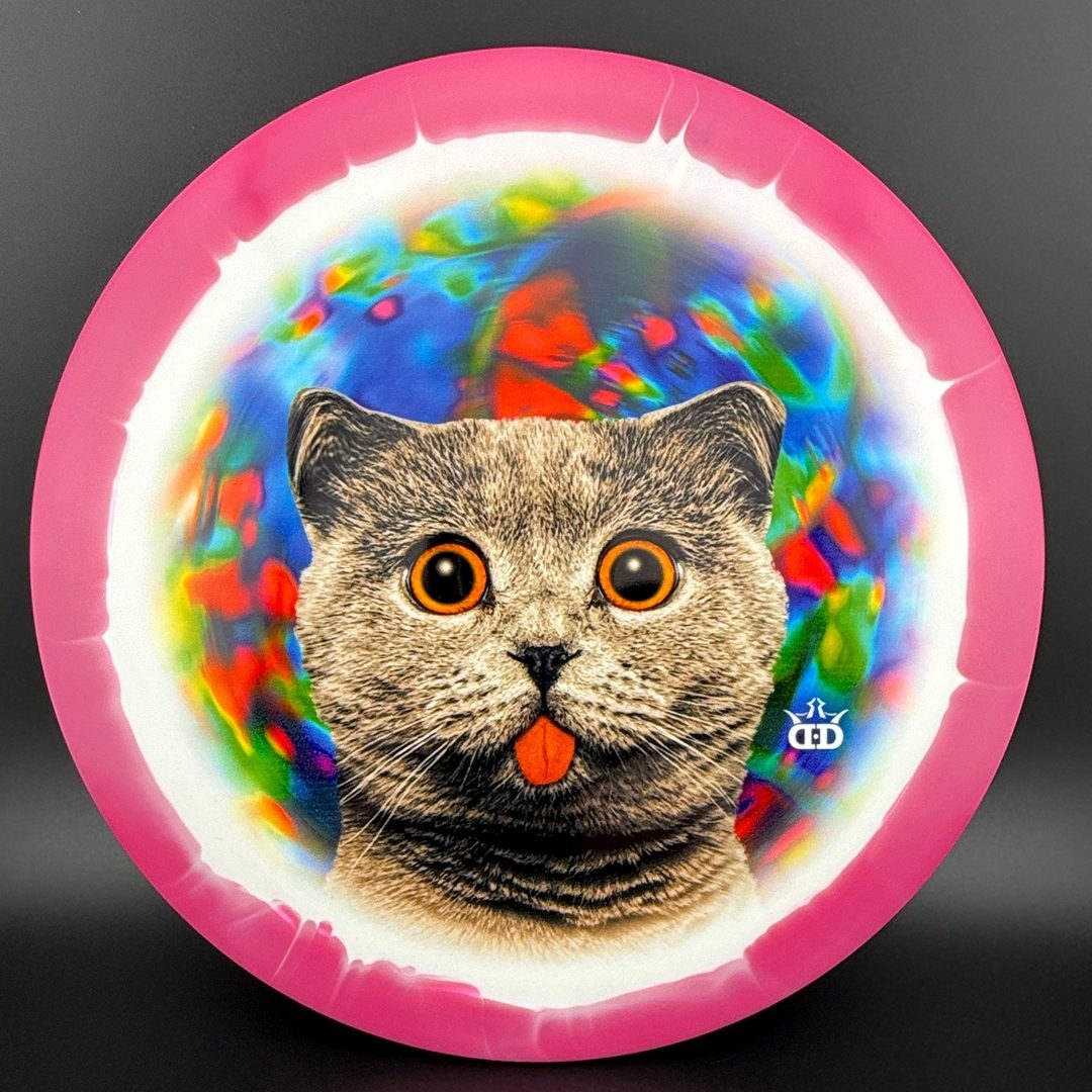Fuzion Orbit Verdict - Kitty Trippin' - DyeMax
