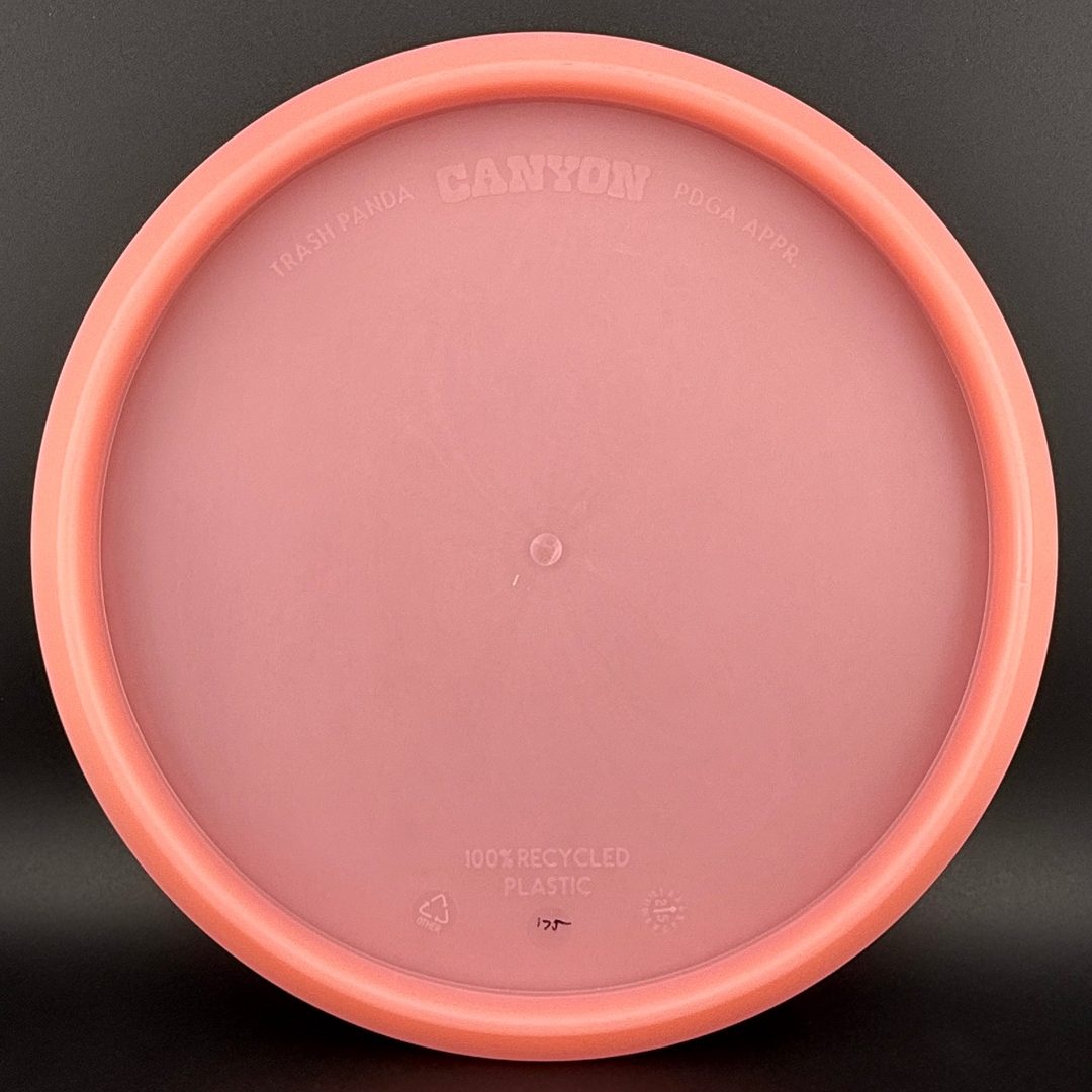 Canyon - First Run