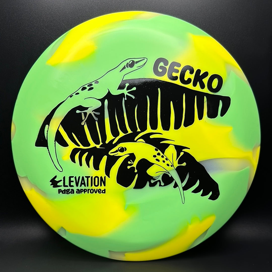 glO-G (Glow) Gecko