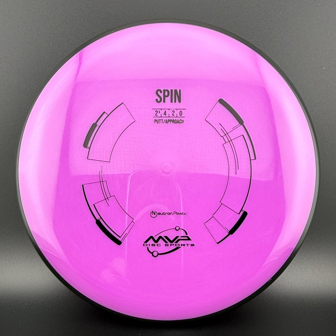Neutron Spin