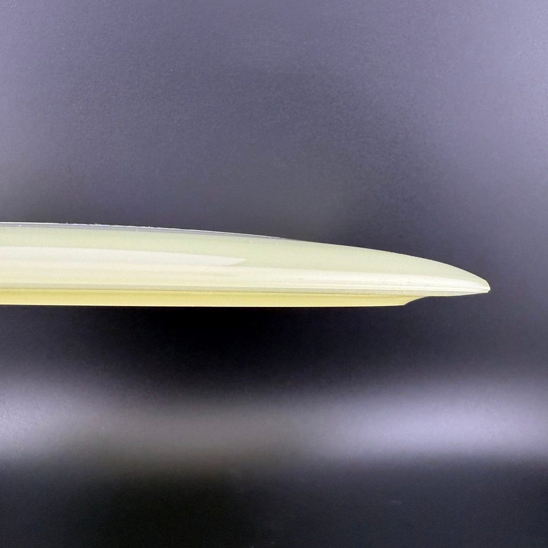 Proto Glow Champion Tern