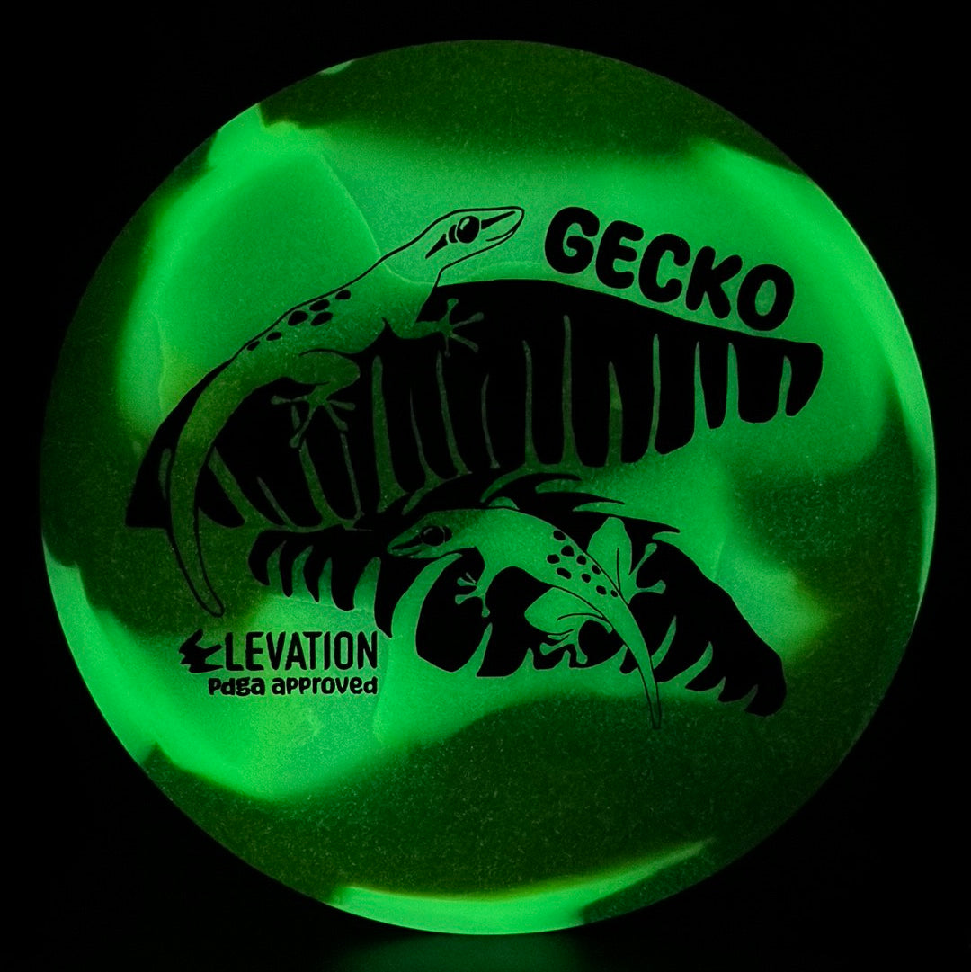 glO-G (Glow) Gecko