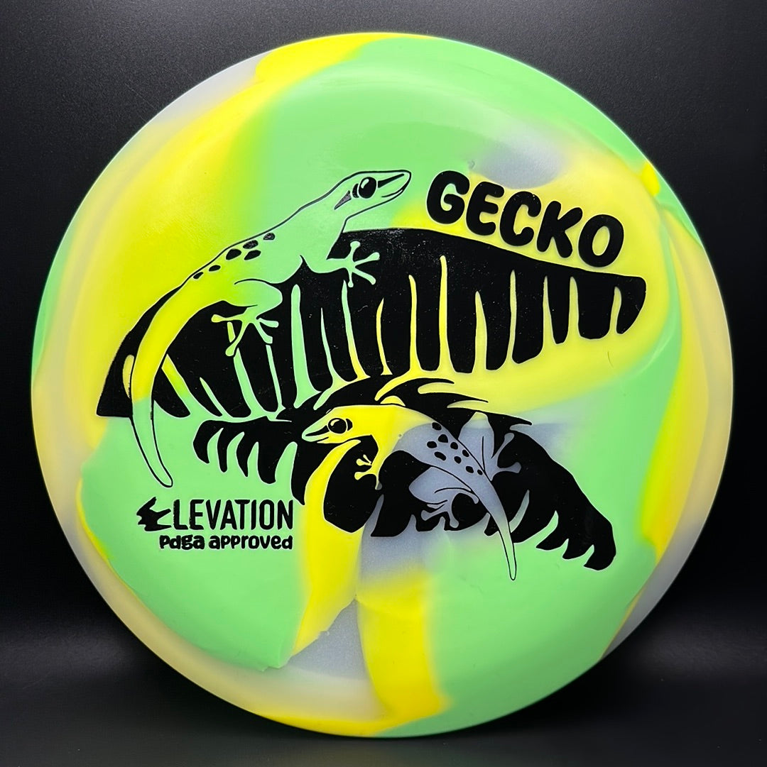 glO-G (Glow) Gecko