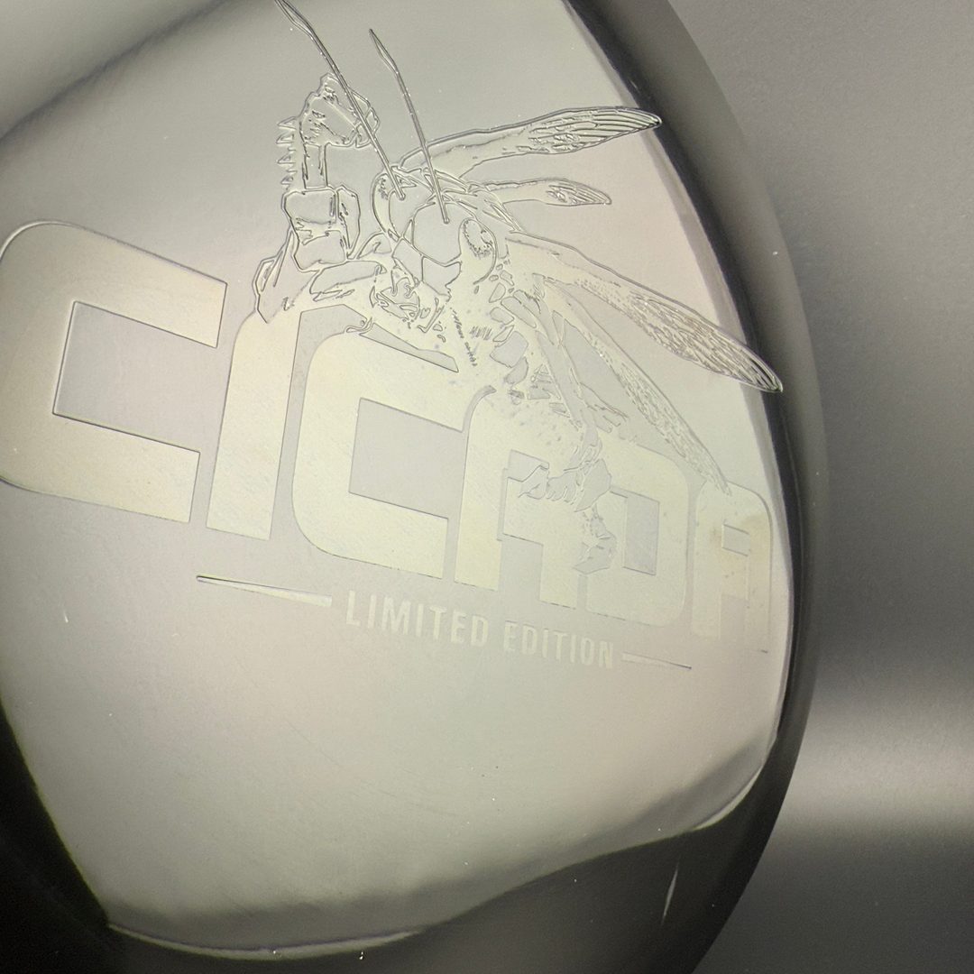 Midnight Z Cicada - Limited Edition