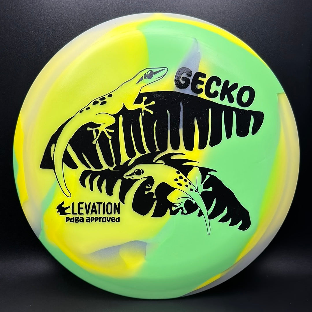glO-G (Glow) Gecko