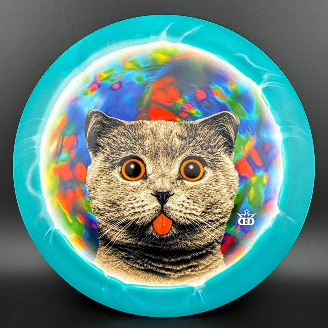 Fuzion Orbit Raider - DyeMax - Space Kitty Trippin