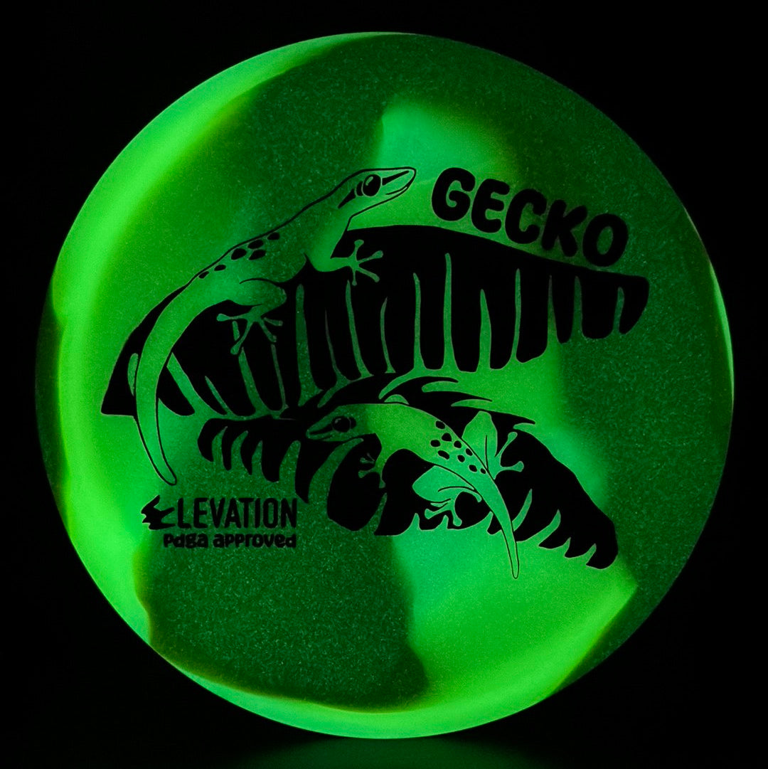 glO-G (Glow) Gecko