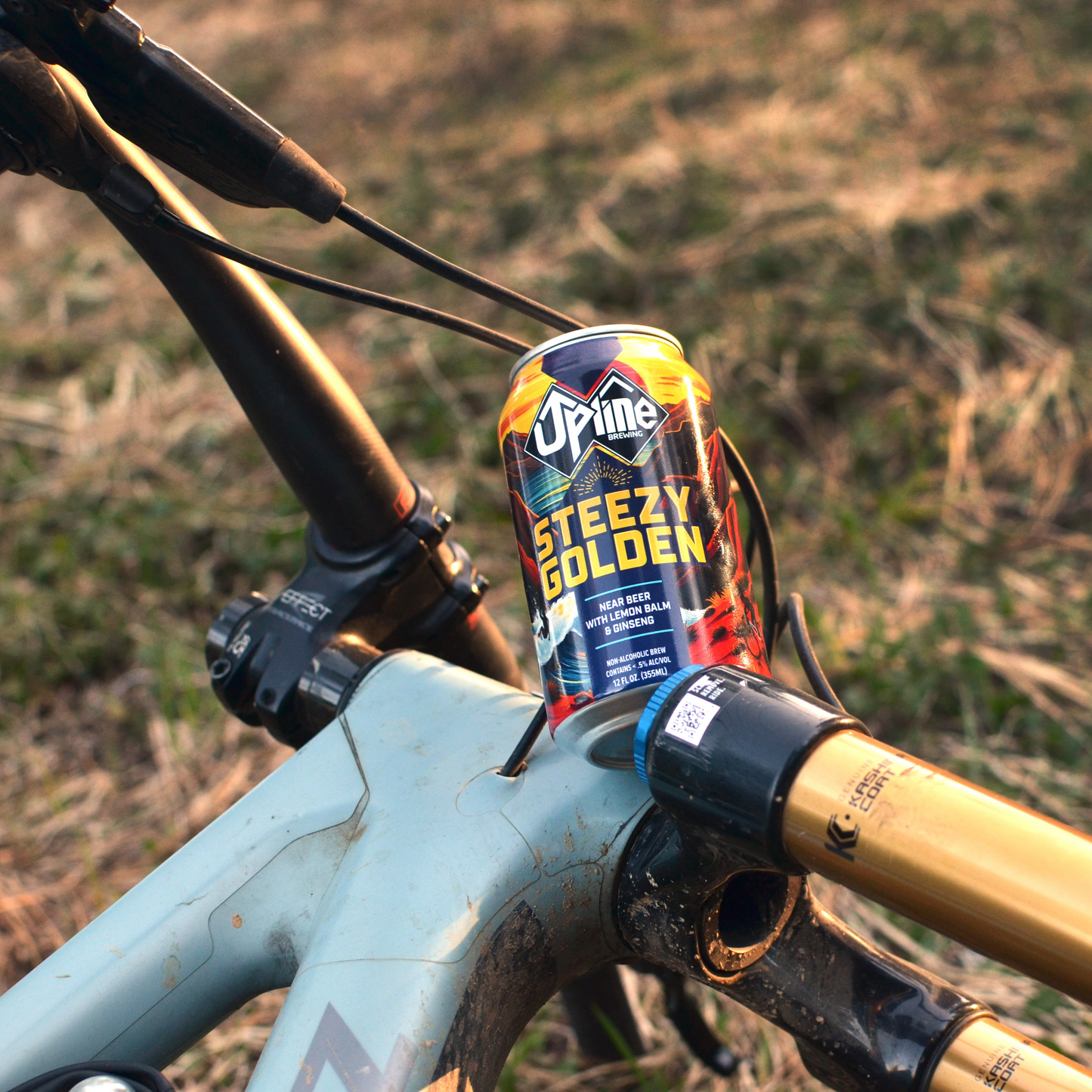 Steezy Golden