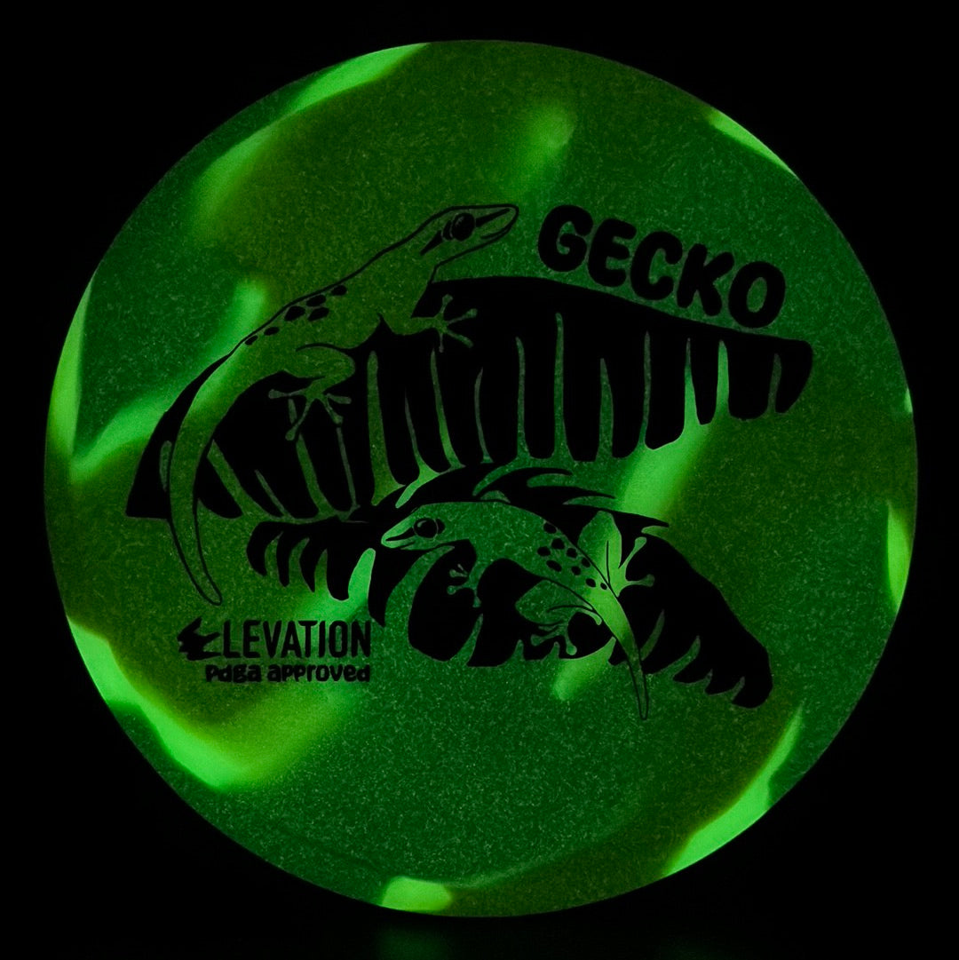 glO-G (Glow) Gecko