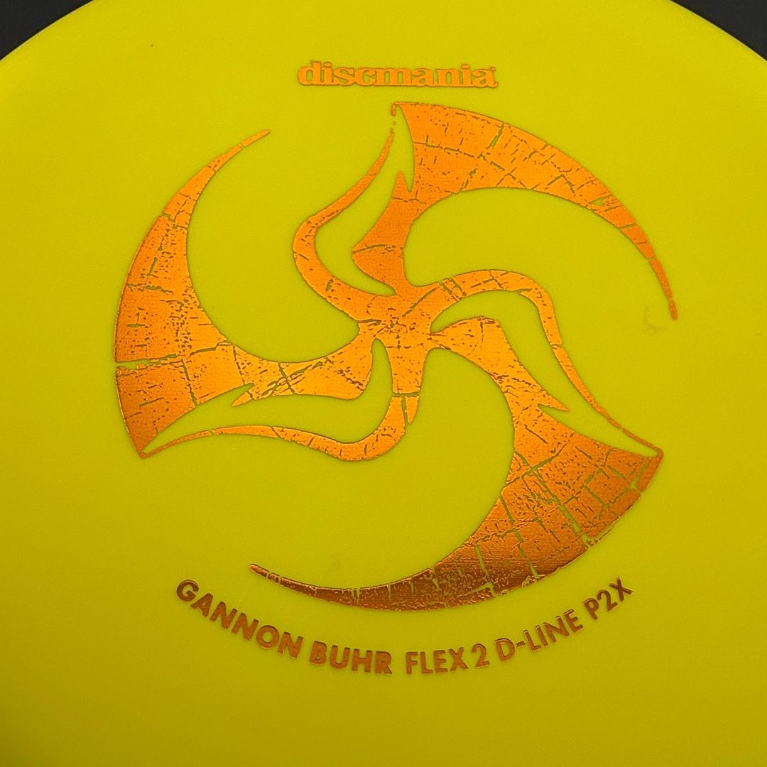 D-Line P2x (Flex 2) - Gannon Buhr Huk Lab Collaboration