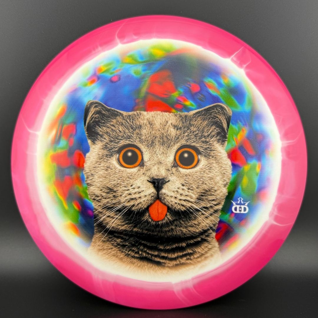 Fuzion Orbit Raider - DyeMax - Space Kitty Trippin