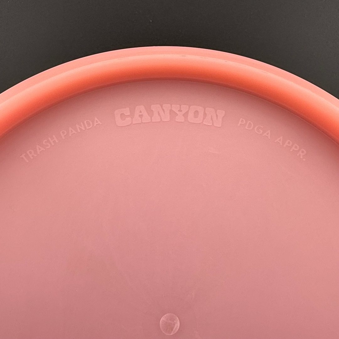 Canyon - First Run