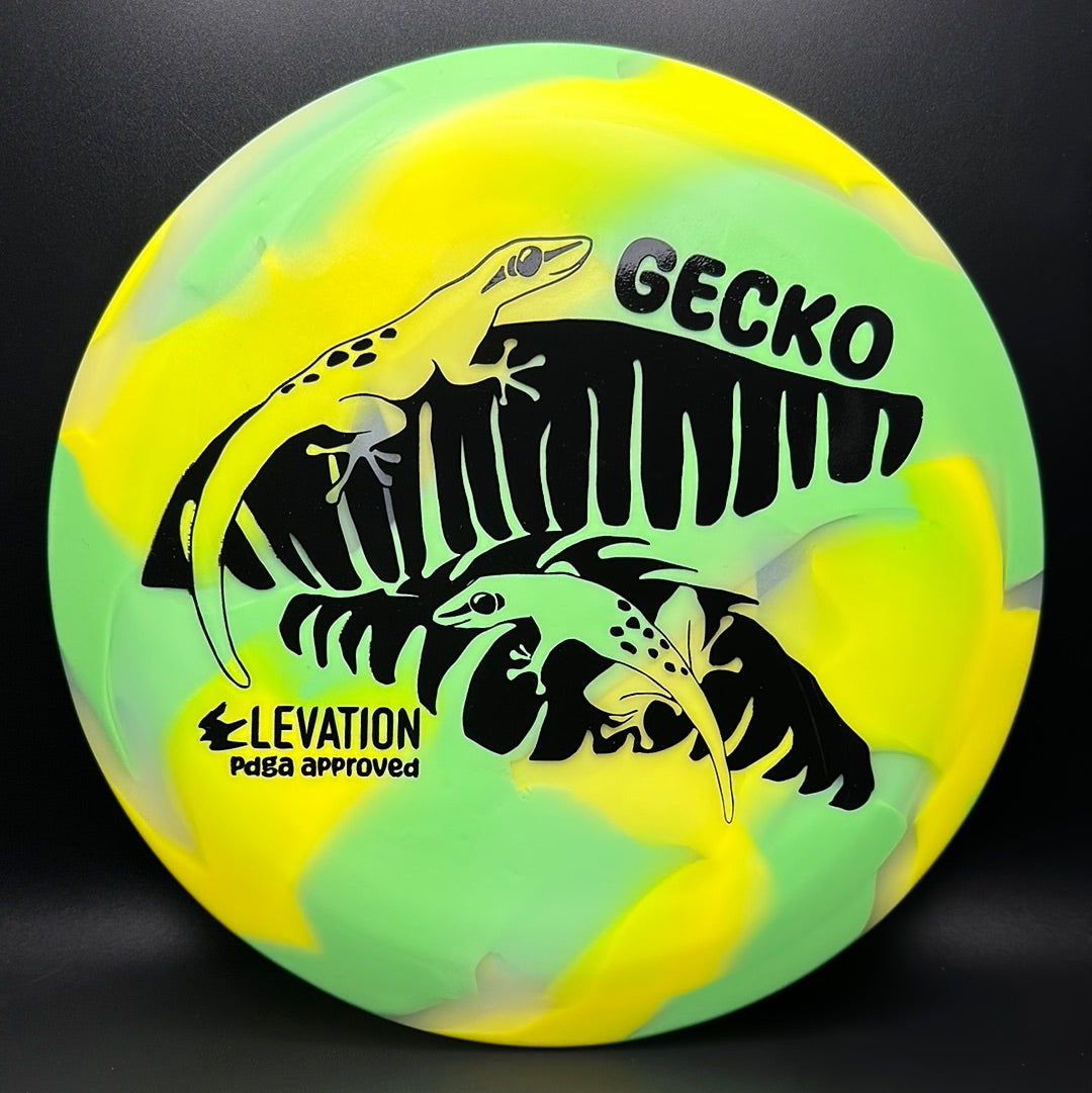 glO-G (Glow) Gecko