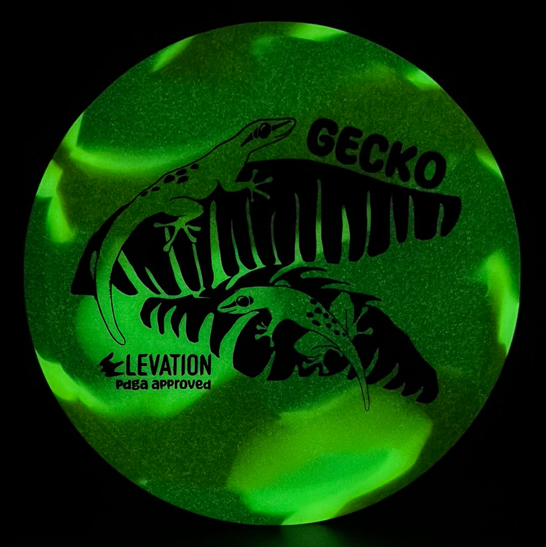 glO-G (Glow) Gecko
