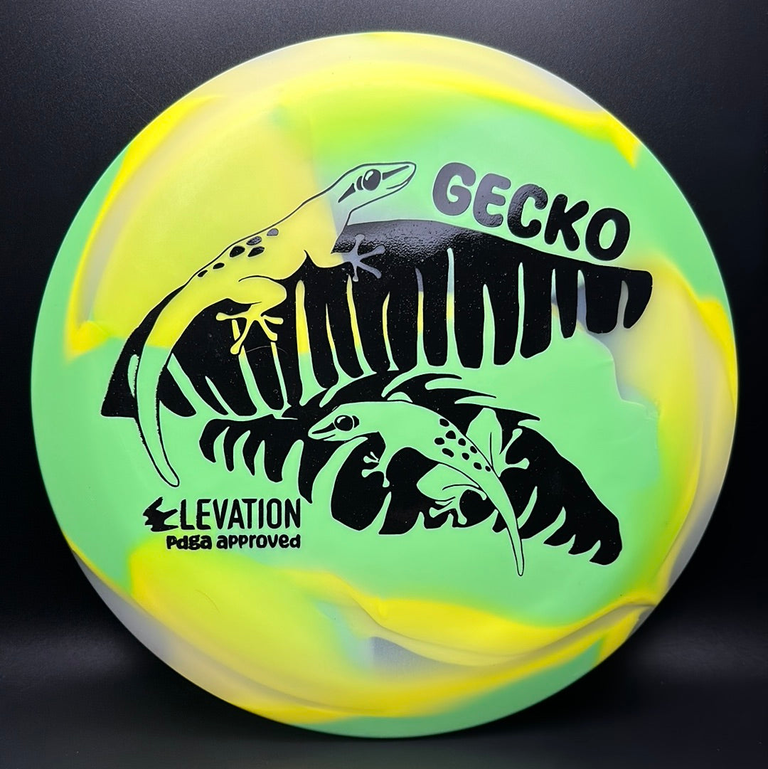 glO-G (Glow) Gecko