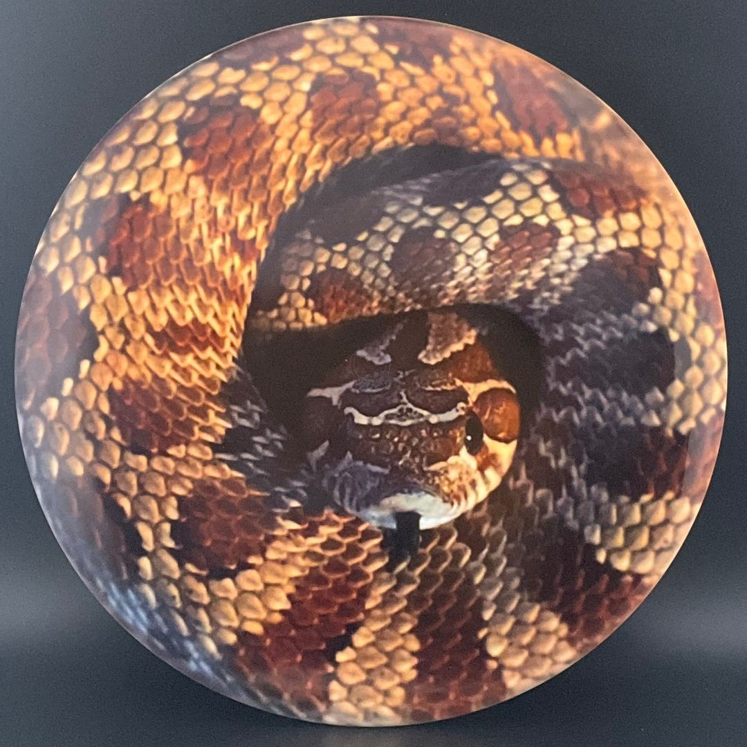 Fuzion Justice - "Rattlesnake" DyeMax