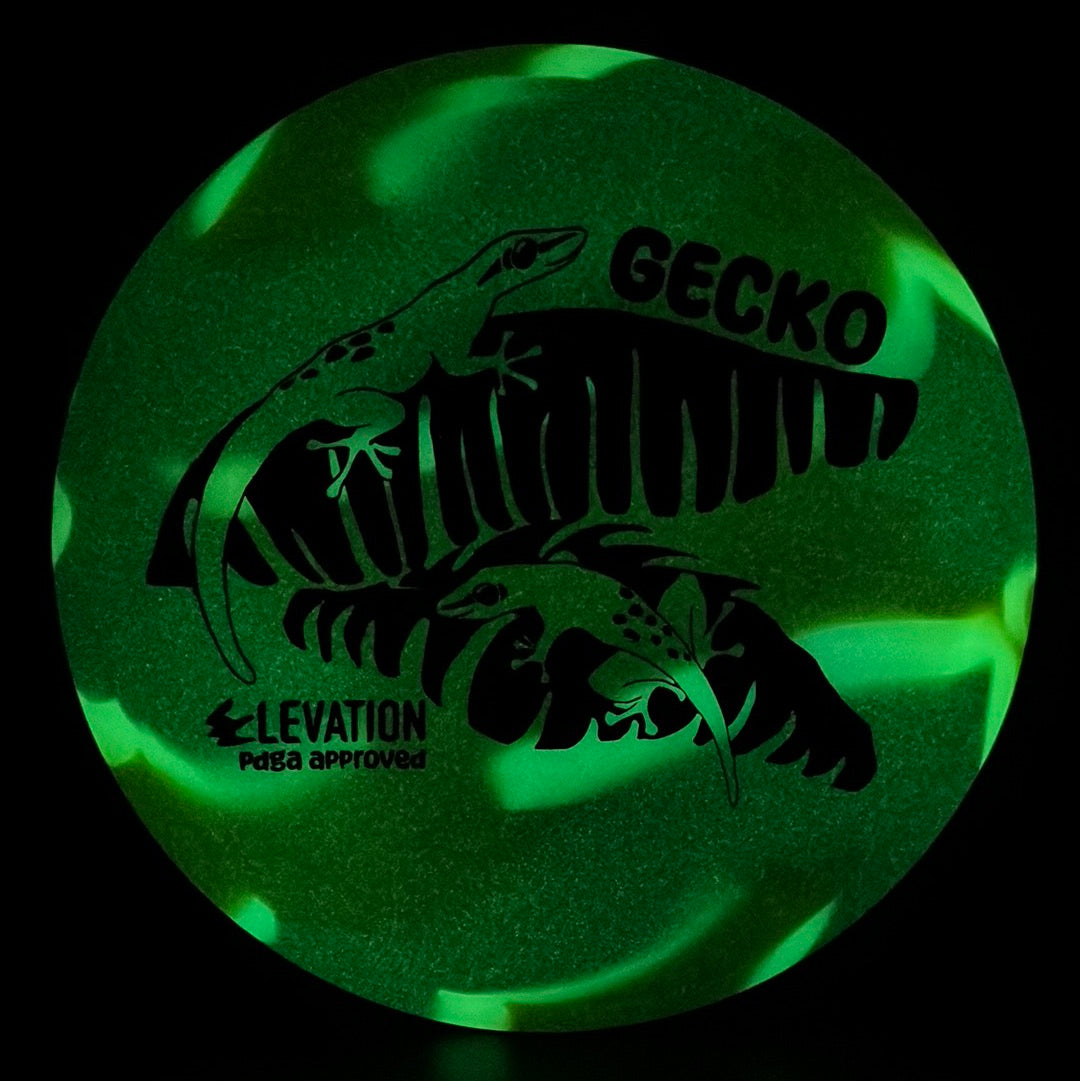 glO-G (Glow) Gecko