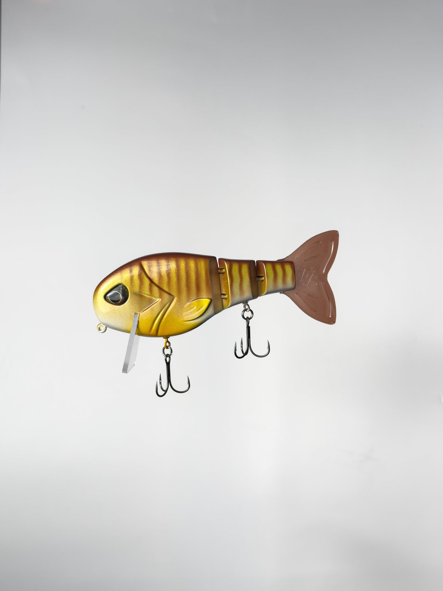 "Summer Gill" WakeWalker