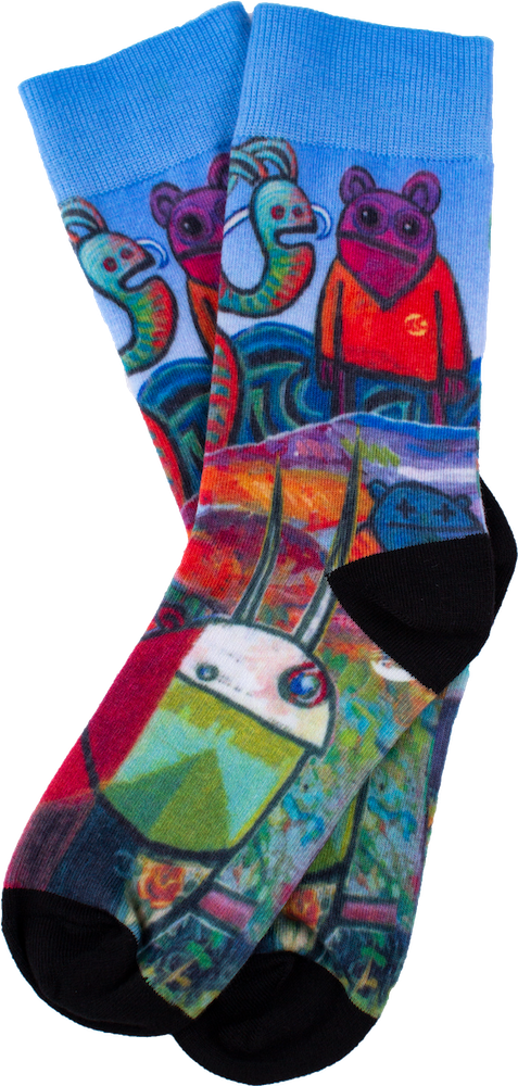 Cabrinha Artist Socks