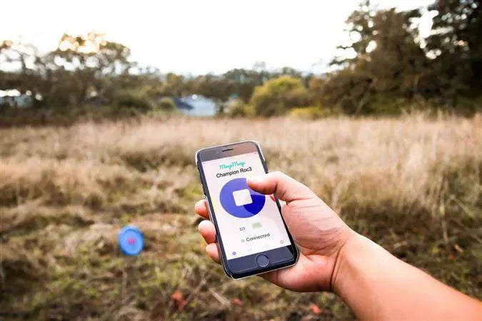 Disc Golf Tracker - MeepMeep