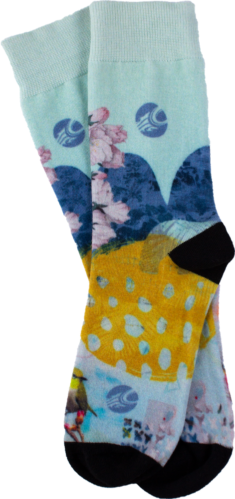 Cabrinha Artist Socks