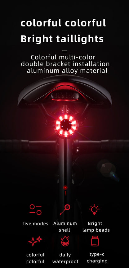 ROCKBROS Multiple Color Bike Tail Light Q1