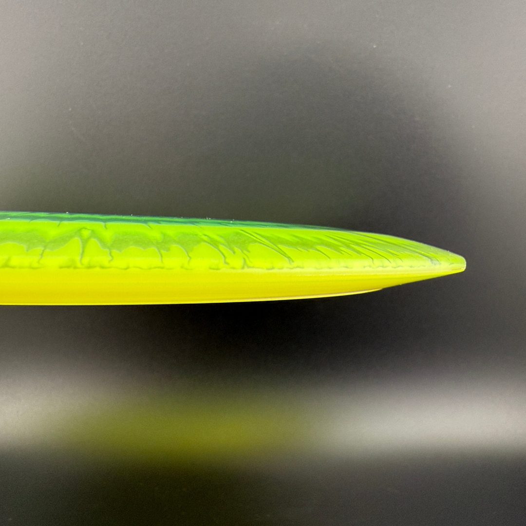 I-Dye Champion SL (Starfire-L) - Penned Run - F2