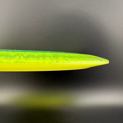 I-Dye Champion SL (Starfire-L) - Penned Run - F2