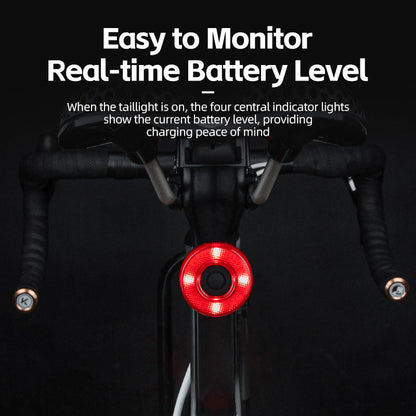 ROCKBROS Upgraded Smart Bicycle Brake Light USB-C Rechargeable IPX7 Waterproof Cycling Rear Light
