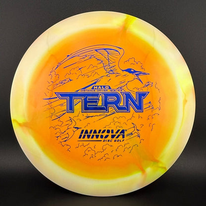 Halo Star Tern