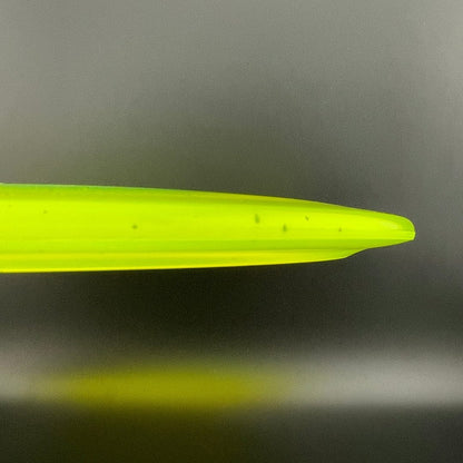 Champion FL (Penned) - F2