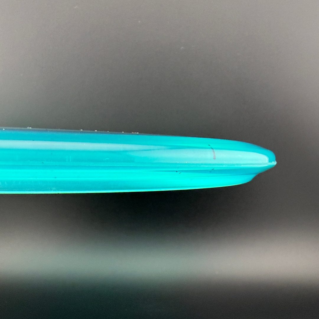 Champion Shark3 (Penned) - F2