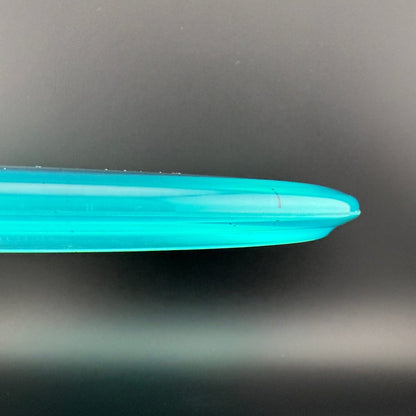 Champion Shark3 (Penned) - F2