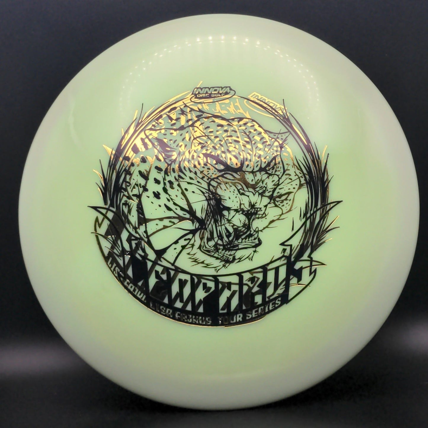 Swirly Star Leopard3 - Lisa Fajkus 2020 TS - X-Out Double Stamp