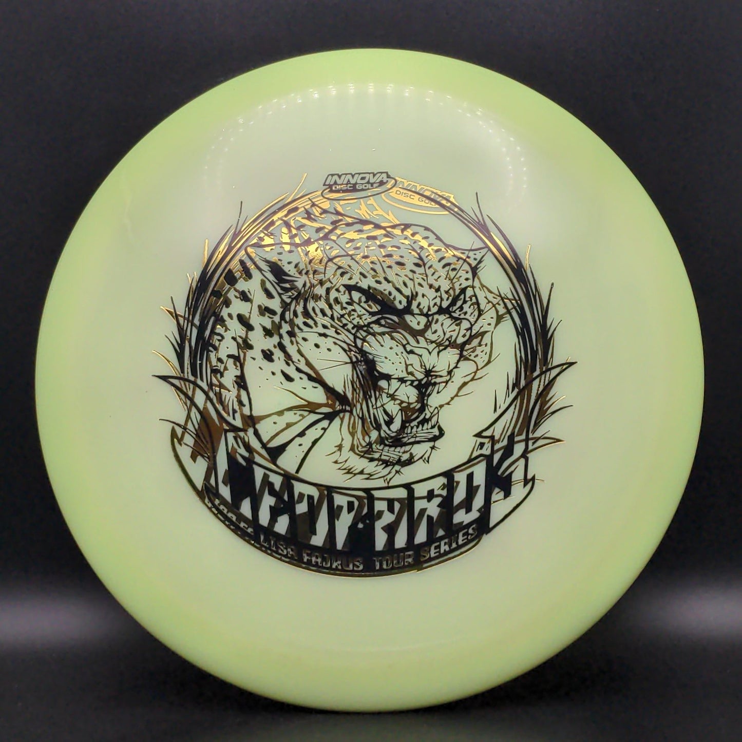Swirly Star Leopard3 - Lisa Fajkus 2020 TS - X-Out Double Stamp