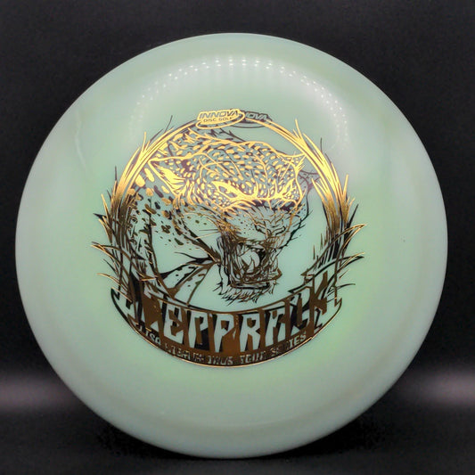 Swirly Star Leopard3 - Lisa Fajkus 2020 TS - X-Out Double Stamp